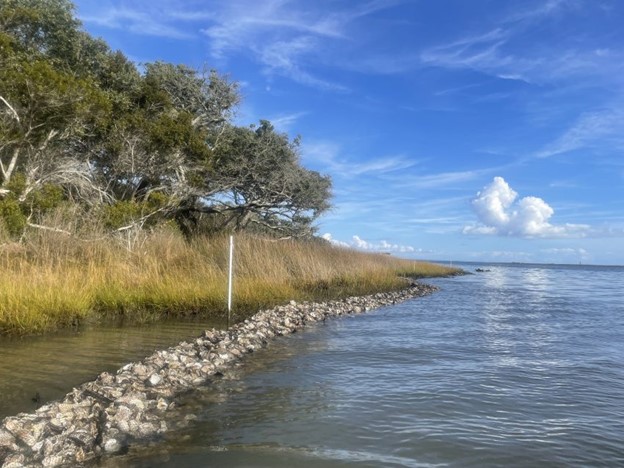 Oyster beds anchored as a living shoreline in the South Carolina Lowcountry